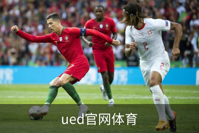ued官网体育公司简介